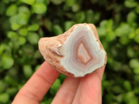 Polished Red Sashe River Agate Nodules x 6 From Sashe River, Zimbabwe - Toprock Gemstones and Minerals