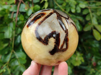 Polished Large Septerye Spheres x 2 From Mahajanga, Madagascar - Toprock Gemstones and Minerals