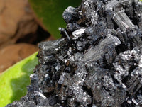 Natural Schorl Black Tourmaline Specimen x 1 From Erongo, Namibia - Toprock Gemstones and Minerals