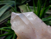 Polished Arcadian Angolan Multi Terminated Crystal x 1 From Angola - Toprock Gemstones and Minerals