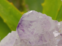 Natural Mix Of Amethyst Spirit Quartz Clusters x 12 From Boekenhouthoek, South Africa - Toprock Gemstones and Minerals