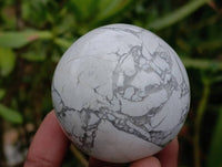 Polished Lightning Strike Howlite Spheres x 3 - From Zimbabwe - Toprock Gemstones and Minerals