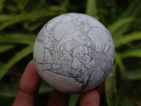 Polished Lightning Strike Howlite Spheres x 3 - From Zimbabwe - Toprock Gemstones and Minerals