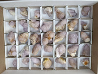 Natural Amethyst Spirit Quartz Crystals x 35 From Boekenhouthoek, South Africa - Toprock Gemstones and Minerals