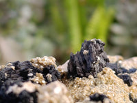 Natural Schorl Black Tourmaline with Mica x 1 From Erongo, Namibia - Toprock Gemstones and Minerals