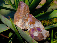 Natural Metallic Purpurite Specimens x 10 From Erongo, Namibia - Toprock Gemstones and Minerals