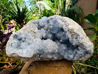 Natural Blue Celestite Geode Specimen x 1 From Sakoany, Madagascar - Toprock Gemstones and Minerals