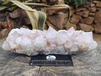 Natural Pale Lilac Spirit Quartz Cluster x 1 From Boekenhouthoek, South Africa - Toprock Gemstones and Minerals