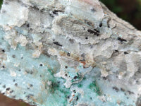 Natural Drusy Coated Chrysocolla Specimens x 6 From Likasi, Congo - Toprock Gemstones and Minerals