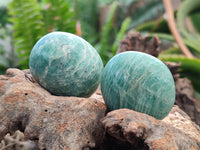 Polished Amazonite Palm Stones x 35 From Madagascar - Toprock Gemstones and Minerals