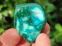 Polished Malacolla Free Forms x 35 From Kulukuluku, Congo - Toprock Gemstones and Minerals