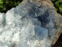 Natural Blue Celestite Geode Specimen x 1 From Sakoany, Madagascar - Toprock Gemstones and Minerals