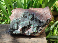 Natural Drusy Coated Ball Malachite On Dolomite Specimen x 1 From Lupoto Mine, Congo - Toprock Gemstones and Minerals