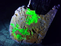 Natural Schorl Black Tourmaline with Associated Minerals x 6 From Erongo, Namibia - Toprock Gemstones and Minerals