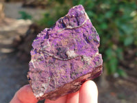 Natural Selected Rough Purpurite Specimens x 12 From Erongo, Namibia - Toprock Gemstones and Minerals