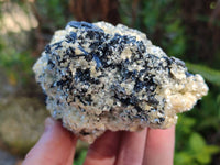 Natural Schorl Black Tourmaline with Mica x 2 From Erongo, Namibia - Toprock Gemstones and Minerals