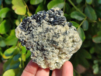 Natural Schorl Black Tourmaline with Mica x 2 From Erongo, Namibia - Toprock Gemstones and Minerals