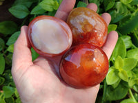 Polished Carnelian Agate Gemstone Galets x 20 From Madagascar - Toprock Gemstones and Minerals