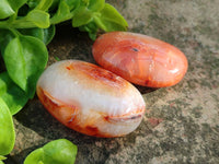 Polished Carnelian Agate Gemstone Galets x 20 From Madagascar - Toprock Gemstones and Minerals