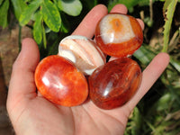 Polished Carnelian Agate Gemstone Galets x 20 From Madagascar - Toprock Gemstones and Minerals