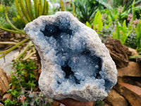 Natural XL Blue Celestite Geode Specimen x 1 From Sakoany, Madagascar - Toprock Gemstones and Minerals