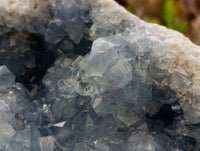 Natural XL Blue Celestite Geode Specimen x 1 From Sakoany, Madagascar - Toprock Gemstones and Minerals
