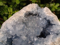Natural XL Blue Celestite Geode Specimen x 1 From Sakoany, Madagascar - Toprock Gemstones and Minerals