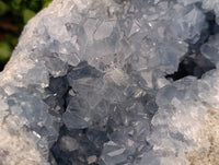 Natural XL Blue Celestite Geode Specimen x 1 From Sakoany, Madagascar - Toprock Gemstones and Minerals