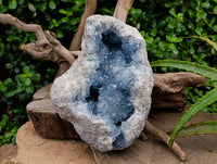 Natural XL Blue Celestite Geode Specimen x 1 From Sakoany, Madagascar - Toprock Gemstones and Minerals