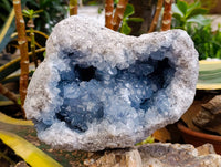 Natural XL Blue Celestite Geode Specimen x 1 From Sakoany, Madagascar - Toprock Gemstones and Minerals