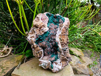 Natural Drusy Ball Malachite On Quartz In Dolomite Matrix Specimen x 1 From Mindingi Mine, Kambove, Congo - Toprock Gemstones and Minerals