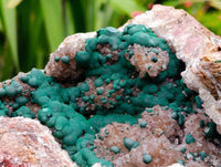Natural Drusy Ball Malachite On Quartz In Dolomite Matrix Specimen x 1 From Mindingi Mine, Kambove, Congo - Toprock Gemstones and Minerals