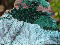 Natural Drusy Coated Chrysocolla And Malachite Specimens x 4 From Lupoto, Congo - Toprock Gemstones and Minerals