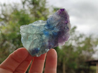 Natural Watermelon Fluorite Cobbed Specimens x 24 From Uis, Namibia - Toprock Gemstones and Minerals