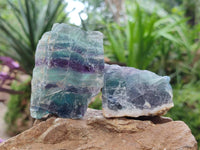 Natural Watermelon Fluorite Cobbed Specimens x 24 From Uis, Namibia - Toprock Gemstones and Minerals