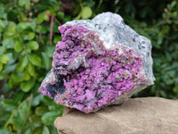 Natural Salrose Cobaltion Dolomite With Heterogenite Specimen x 1 From Kakanda, Congo x 1 From Kakanda, Congo - Toprock Gemstones and Minerals