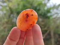 Polished Carnelian Agate Gemstone Galets x 35 From Madagascar - Toprock Gemstones and Minerals