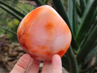 Polished Carnelian Agate Gemstone Standing Free Forms x 3 From Madagascar - Toprock Gemstones and Minerals