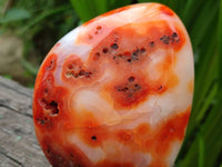 Polished Carnelian Agate Gemstone Standing Free Forms x 3 From Madagascar - Toprock Gemstones and Minerals