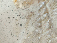 Polished X Large Smokey Quartz Crystal x 1 From Angola - Toprock Gemstones and Minerals