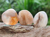 Polished Flower Agate Free Forms x 70 From Antsahalova, Madagascar - Toprock Gemstones and Minerals