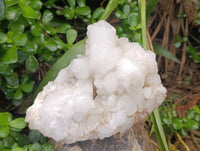 Natural Pineapple Candle Quartz Cluster x 1 From Antsirabe, Madagascar - Toprock Gemstones and Minerals