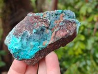 Natural Drusy Coated Chrysocolla With Malachite Specimens x 11 From Lupoto Mine, Congo - Toprock Gemstones and Minerals