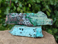 Natural Drusy Coated Chrysocolla With Malachite Specimens x 11 From Lupoto Mine, Congo - Toprock Gemstones and Minerals