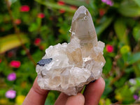 Natural Schorl Black Tourmaline Specimens x 6 From Erongo, Namibia - Toprock Gemstones and Minerals