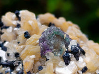 Natural Schorl Black Tourmaline Specimens x 6 From Erongo, Namibia - Toprock Gemstones and Minerals