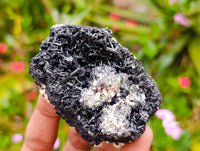 Natural Schorl Black Tourmaline Specimens x 6 From Erongo, Namibia - Toprock Gemstones and Minerals