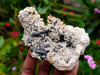Natural Schorl Black Tourmaline Specimens x 6 From Erongo, Namibia - Toprock Gemstones and Minerals