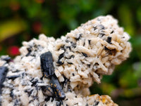 Natural Schorl Black Tourmaline Specimens x 6 From Erongo, Namibia - Toprock Gemstones and Minerals