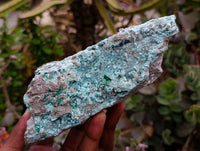 Natural Drusy Coated Chrysocolla Specimens x 2 From Likasi, Congo - Toprock Gemstones and Minerals